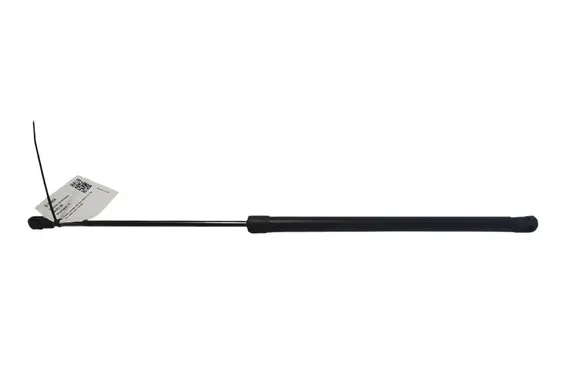 Tailgate strut