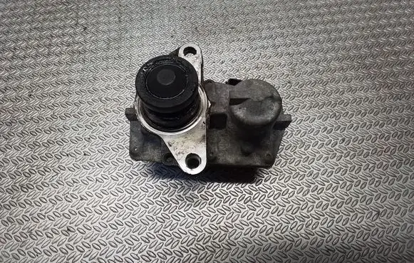 Renault Trafic III (X82) EGR valve 147109816R 1705001681