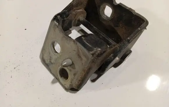 Citroen C5 Rear door lower hinge