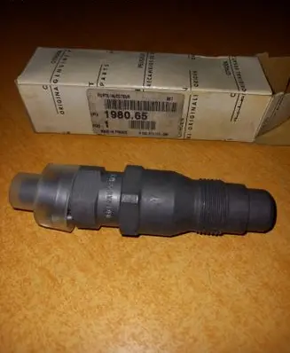 Citroen Jumper Fuel injector 198065