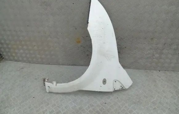 Citroen C2 Front wheel arch liner splash guards citc5L