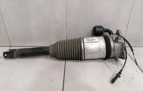 Bentley Flying Spur Rear shock absorber with coil spring 3W5616001C