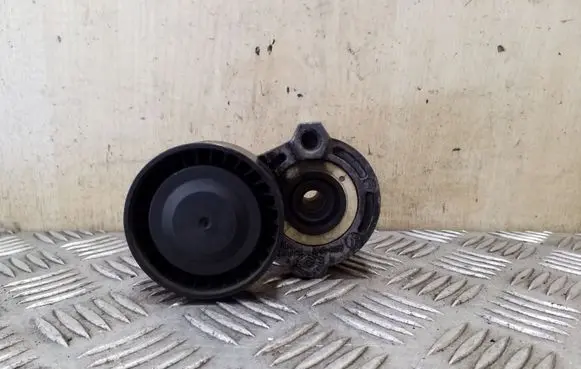 Nissan Juke I F15 Generator/alternator belt tensioner 117503662R