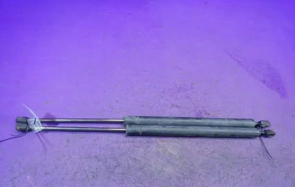 Tailgate strut