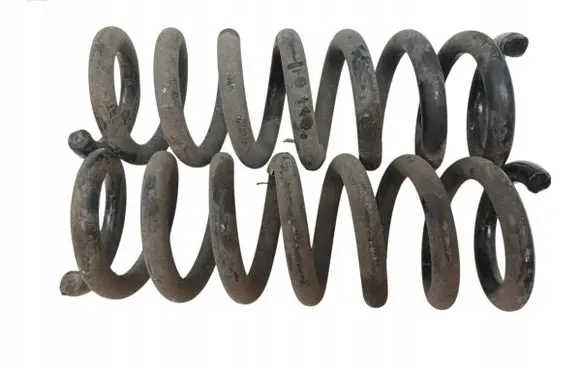 Rear coil spring