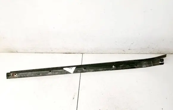Chrysler Grand Voyager IV Sliding door trim 