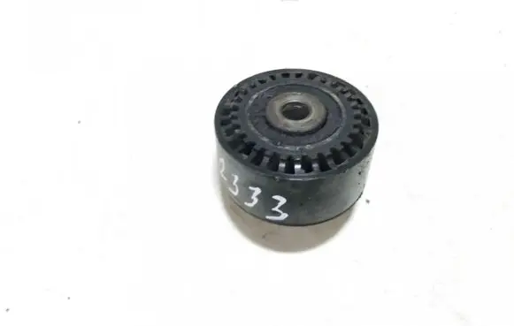 Citroen Xsara Picasso Belt tensioner pulley 