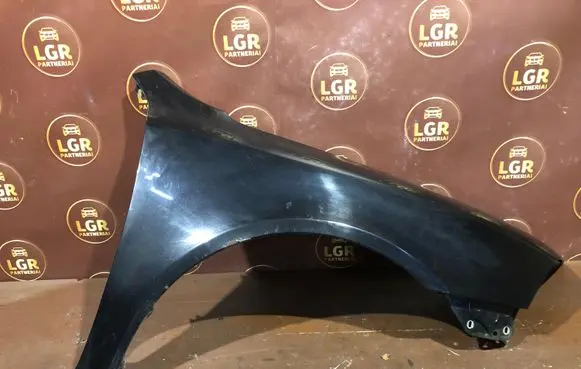 Skoda Octavia Mk2 (1Z) Fender