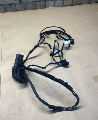 Rear door wiring loom