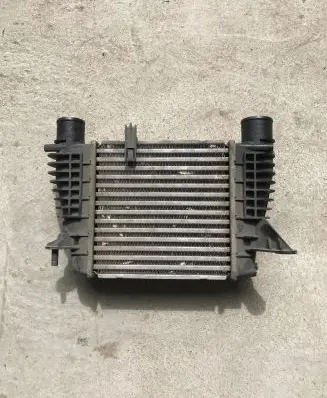 Nissan Juke I F15 Intercooler radiator 14461EM00A
