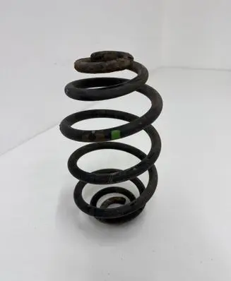 Rear coil spring