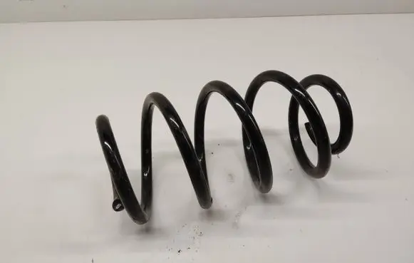 Rear coil spring