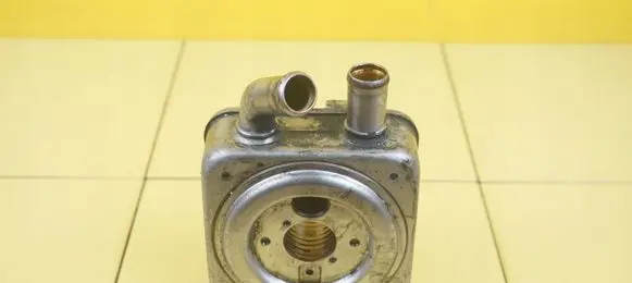 Hyundai Santa Fe Engine oil radiator D4EB