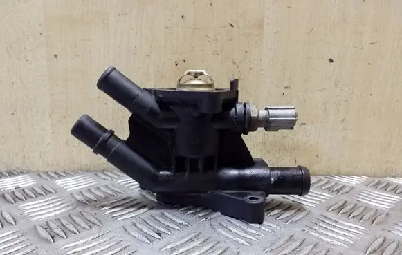 Thermostat/thermostat housing