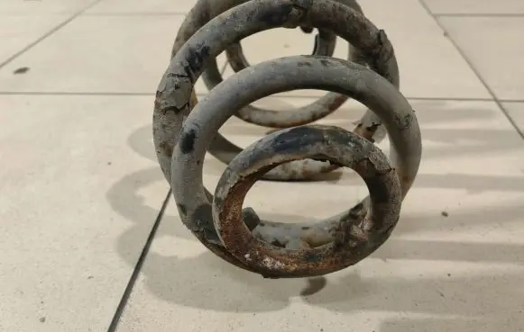 Volkswagen Sharan Rear coil spring