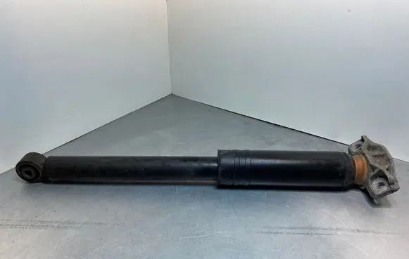 Opel Zafira C Rear shock absorber/damper 13419902