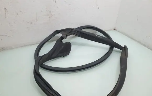 Audi A5 Sportback 8TA Front door rubber seal 