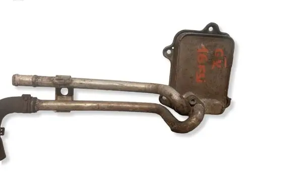 Volkswagen Golf V Engine oil radiator 03C117021E