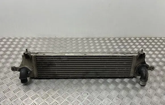 Nissan Qashqai Intercooler radiator G3062005 14461JD50B
