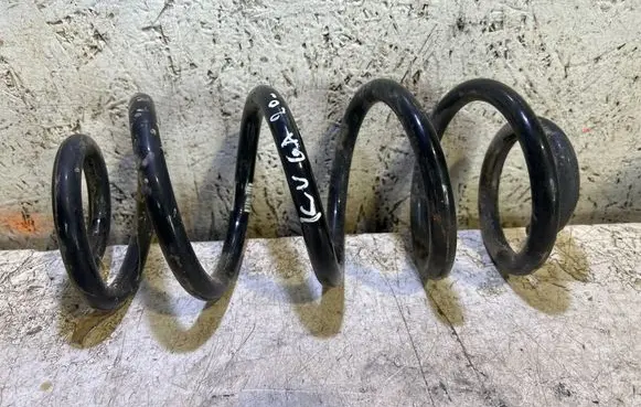 Rear coil spring