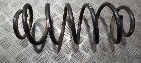 Rear coil spring
