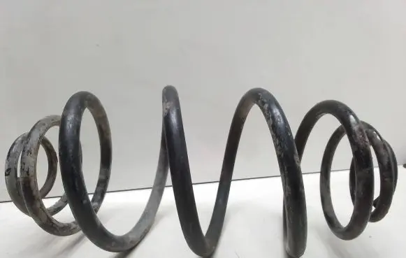 Opel Astra G Rear coil spring 1000856528