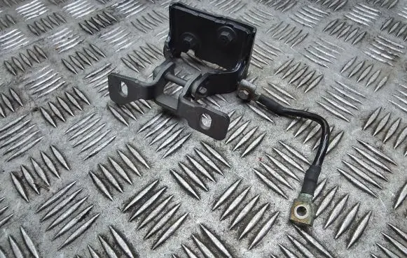BMW 1 F20 F21 Tailgate/trunk/boot hinge 7239875