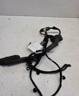 BMW 7 E65 E66 Front door wiring loom 6934009