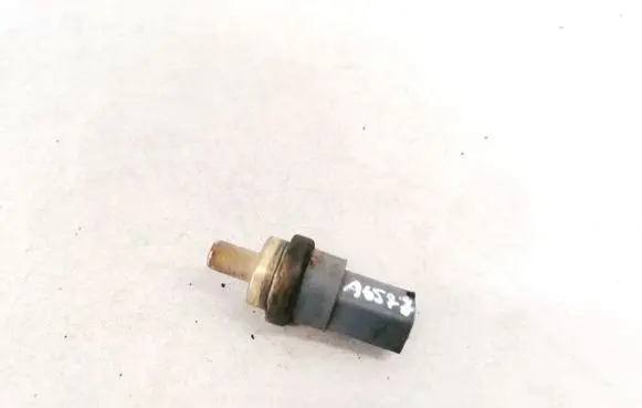 Volkswagen Touareg I Coolant level sensor 06A919501