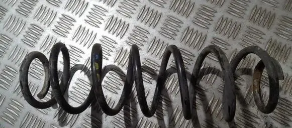 Skoda Octavia Mk2 (1Z) Rear coil spring
