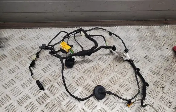 Mercedes-Benz E C207 W207 Front door wiring loom A2074405108