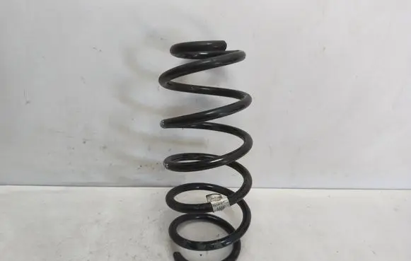 Front coil spring
