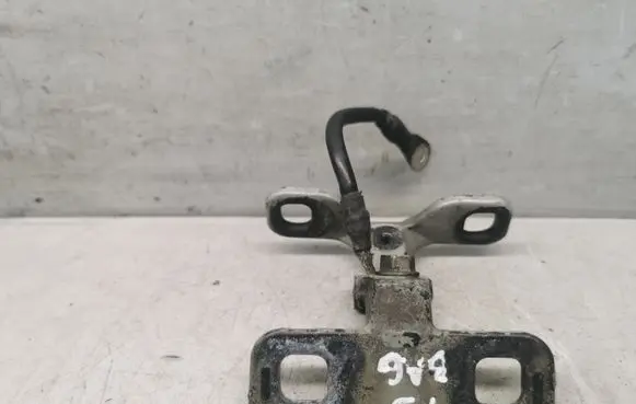 Tailgate/trunk/boot hinge