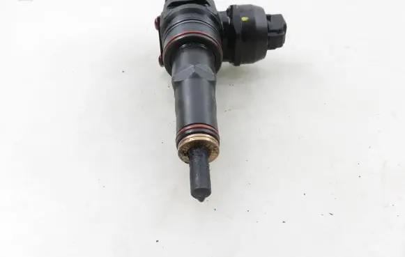 Skoda Fabia Mk1 (6Y) Fuel injector 0414720037 038130073AJ