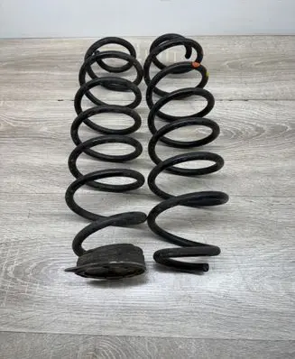 Rear coil spring