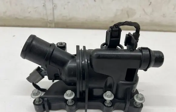 Thermostat/thermostat housing