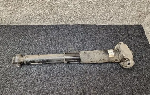 Cupra Born Rear shock absorber/damper 1EA512011AL