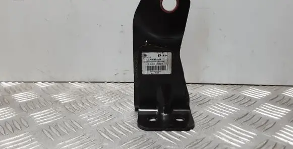 Jaguar F-Pace Other interior part L0438783AA