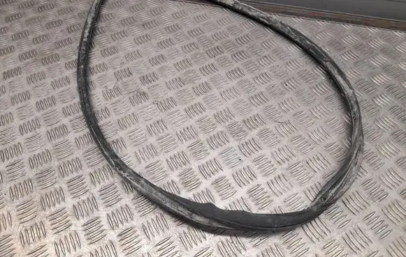 Audi Q5 SQ5 Front door rubber seal