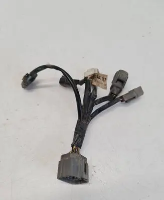 Other wiring loom