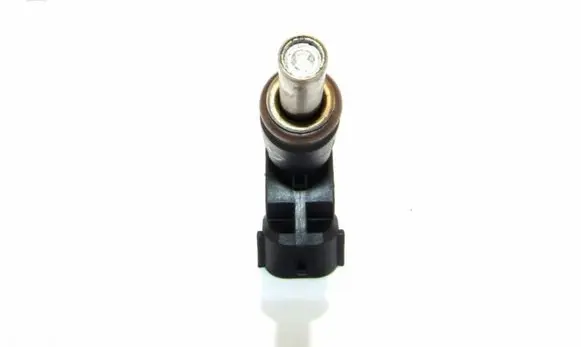 Mini Cooper Countryman R60 Fuel injector B254P02390