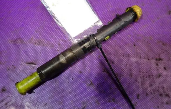 Renault Megane II Fuel injector 