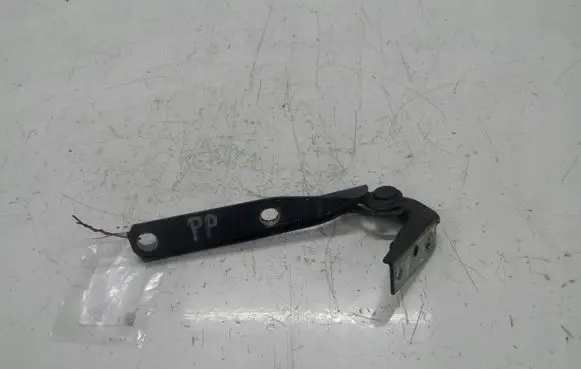 Volkswagen PASSAT B5.5 Engine bonnet/hood hinges 