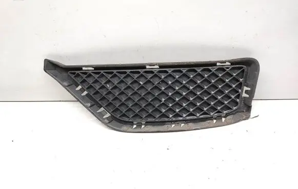 BMW X1 E84 Front bumper lower grill 7303755