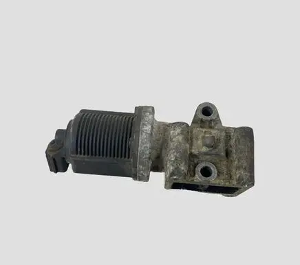 Opel Vectra C EGR valve 55215031