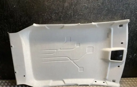 Renault Zoe Headlining 739102876R
