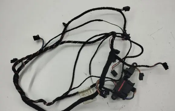 Porsche Cayenne (92A) Other wiring loom 7P5971565E 52422975