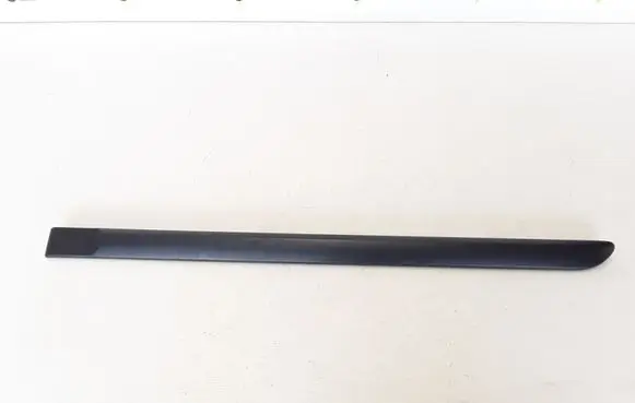 Renault Laguna III Rear door trim (molding) 828730001R