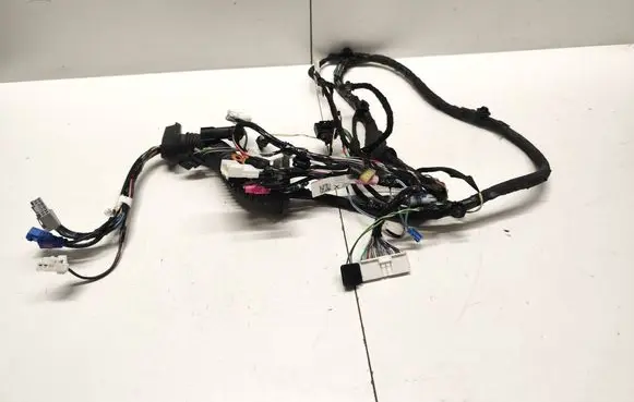 Tesla Model X Rear door wiring loom S10890605515 P103244000G