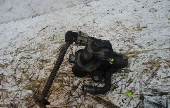 Dacia Dokker Vacuum valve 70036814